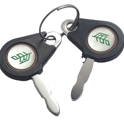 STARTING KEY TAFE OEM (SET OF 2 PC) STY 27642