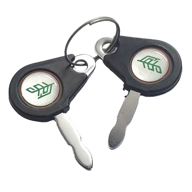 STARTING KEY TAFE OEM (SET OF 2 PC) STY 27642