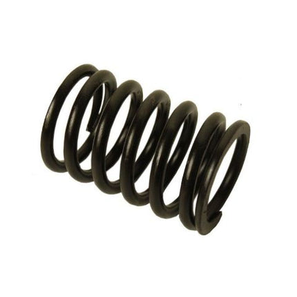 CYLINDER HEAD SPRING   BIG STY 4766