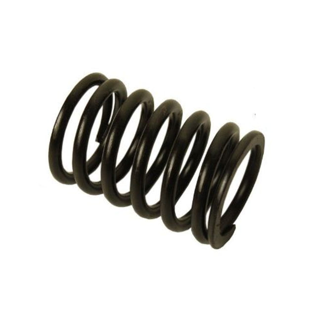 CYLINDER HEAD SPRING   BIG STY 4766